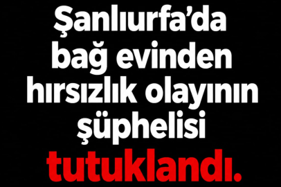 Şanlıurfa'da Bağ Evinden Hırsızlık