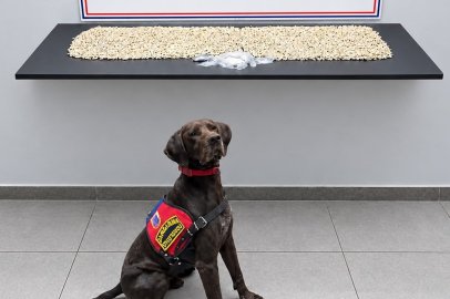 14 Bin Uyuşturucu Hap Yakalandı