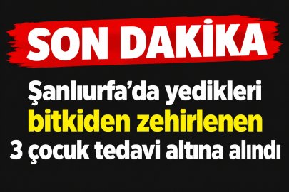 3 Çocuk Tedavi Altına Alındı