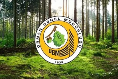 Müfettiş Yardımcısı İstihdam Edilecek