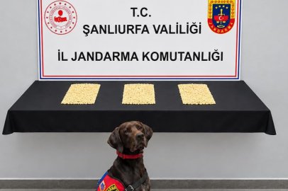 2 Bin 970 Uyuşturucu Hap Yakalandı